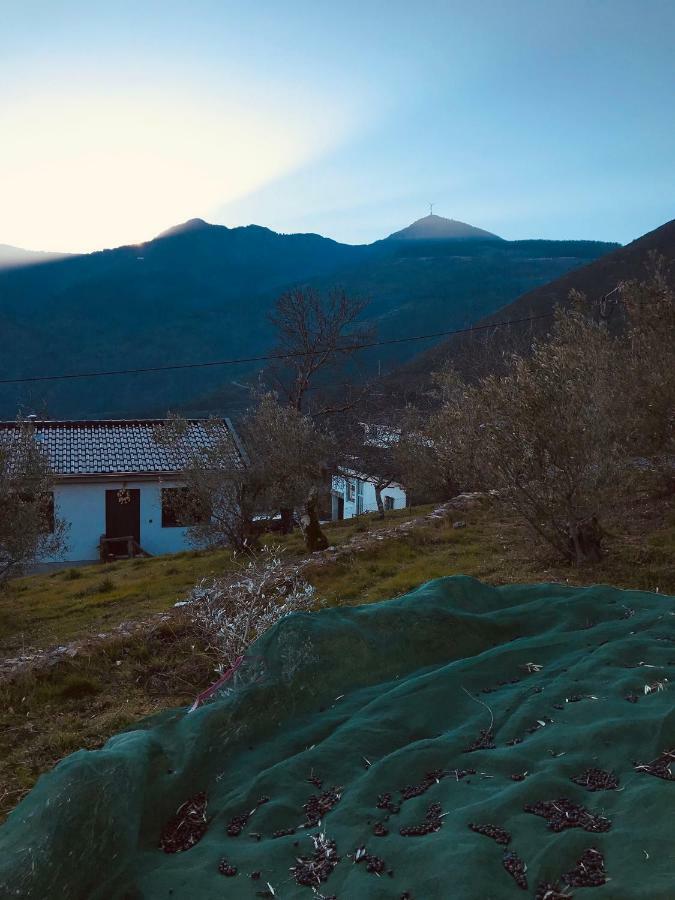 "Casa Da Russa" Mountain Experience Guest House Vila Real Exterior photo